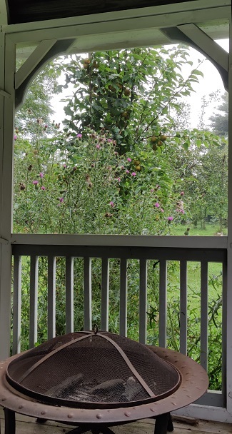 Thistle pear gazebo.jpg